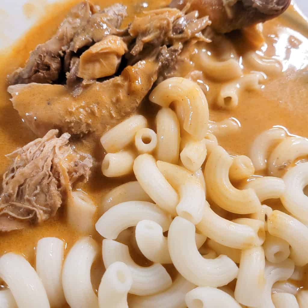 A closeup of chicken paprika with elbow macaroni and stewed chicken