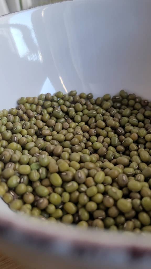 A bowl with raw mung beans for Filipino mongo