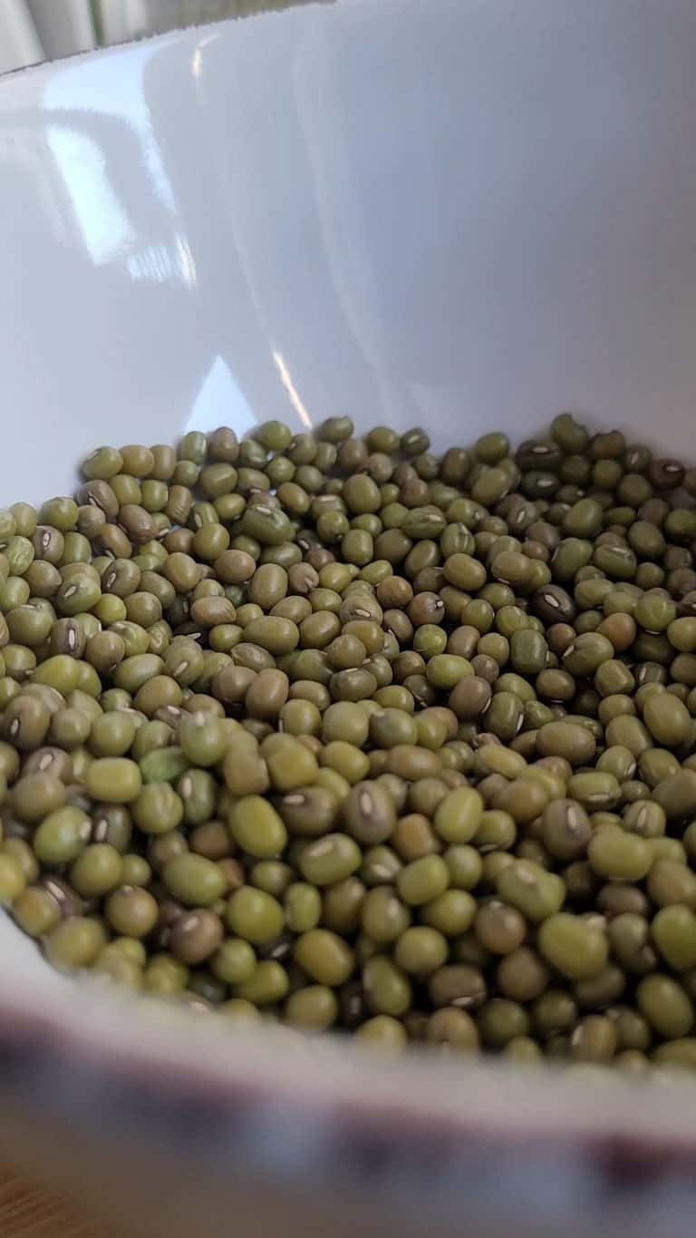 The Easiest Monggo Recipe Ever (Filipino Mung Bean Stew)