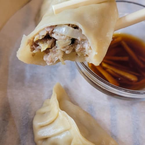 A closeup of inside of pork dumplings