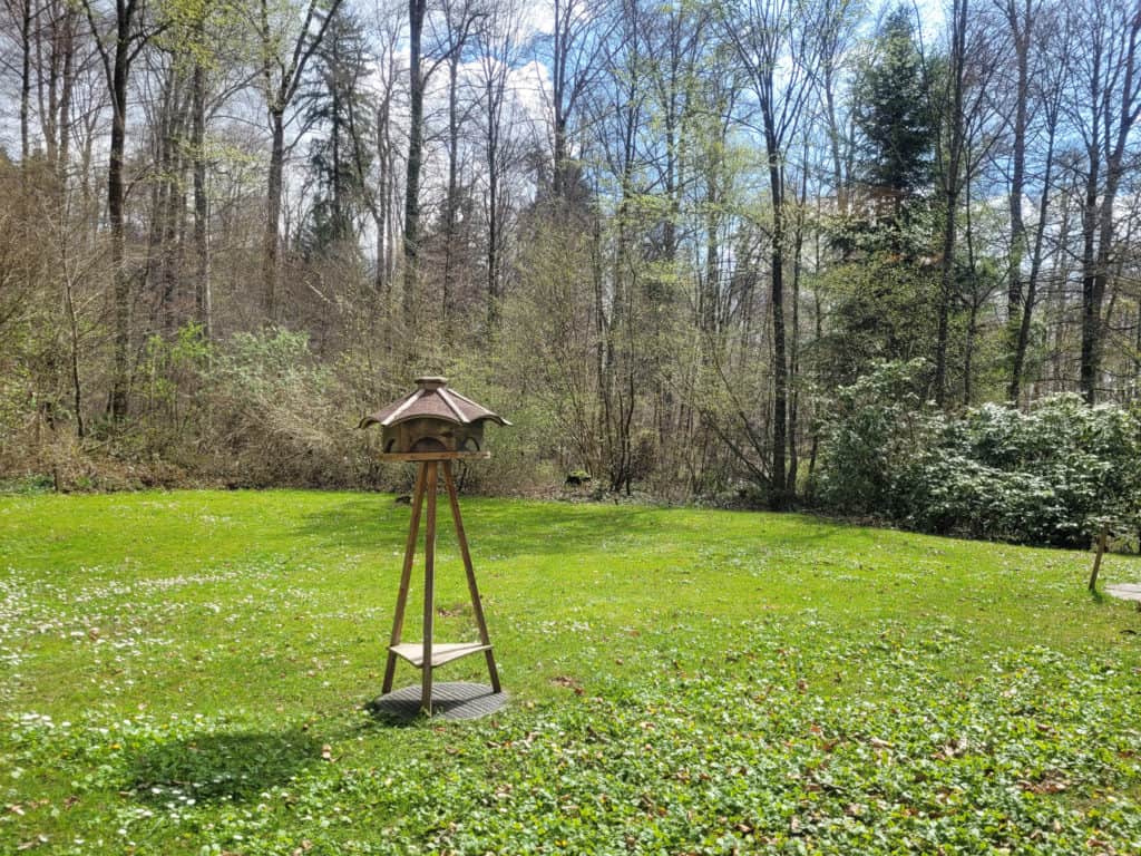 A bird house in the middle of a clearing