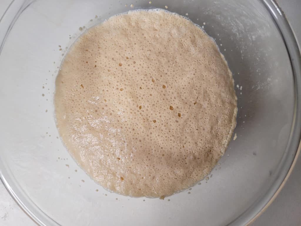 Bloomed yeast in a clear bowl