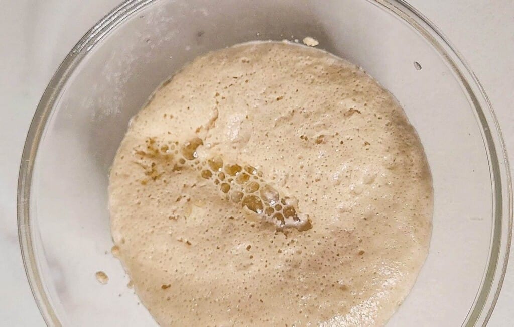 Glass bowl with activated yeast