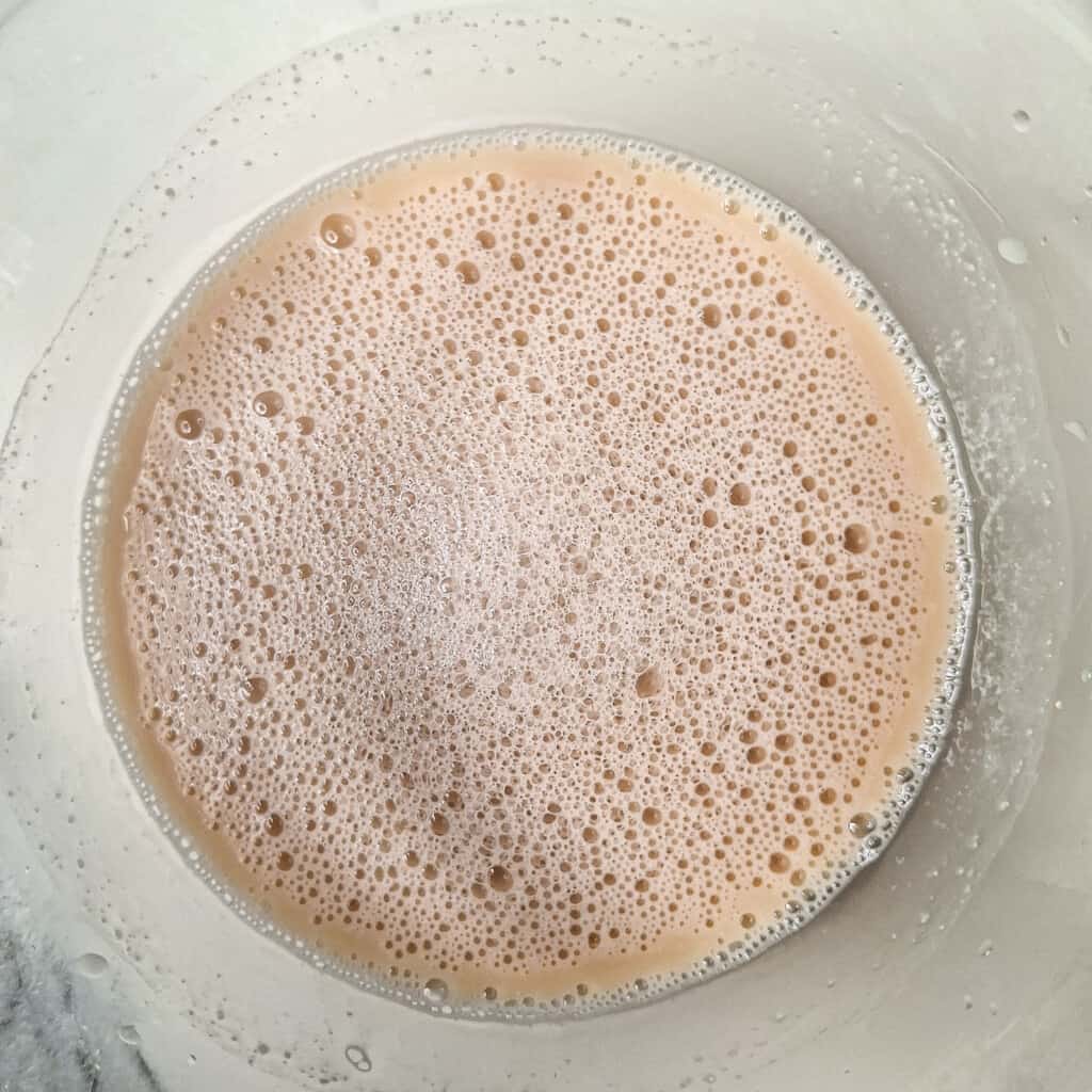 Bloomed yeast in water inside a bowl