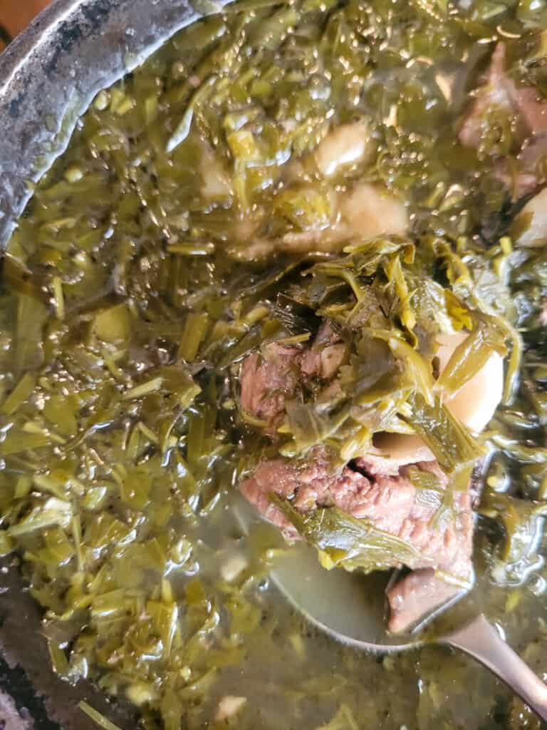 A bowl filled with chakapuli, a soup with tarragon leaves and lamb meat