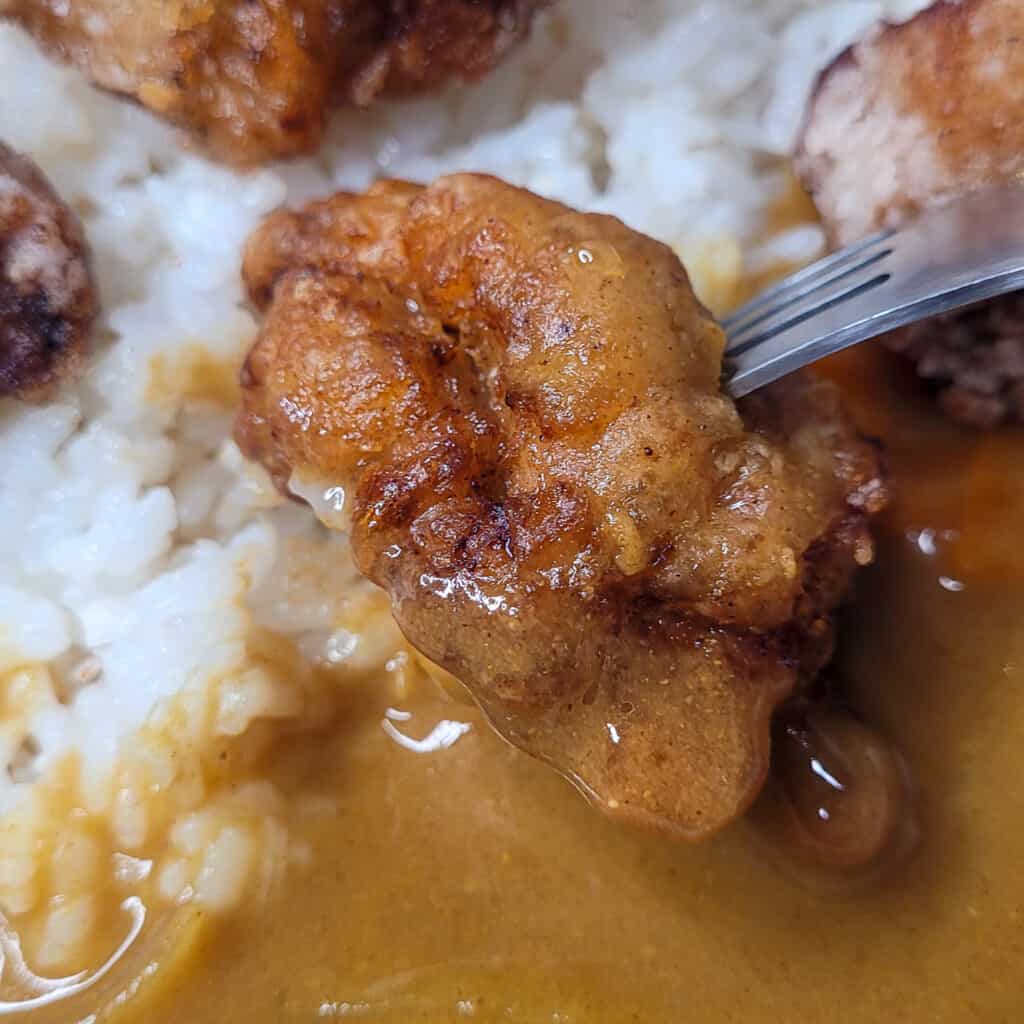 Closeup of fried chicken with rice and curry