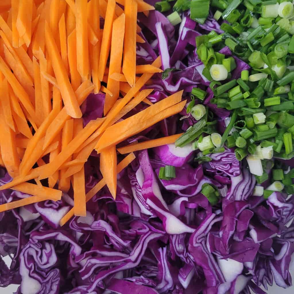 Carrots, chopped green onions, and shredded purple cabbage