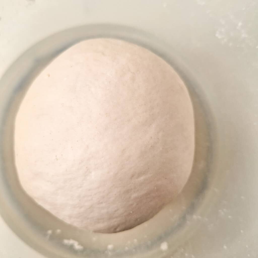 Kneaded dough shaped into a ball in a bowl