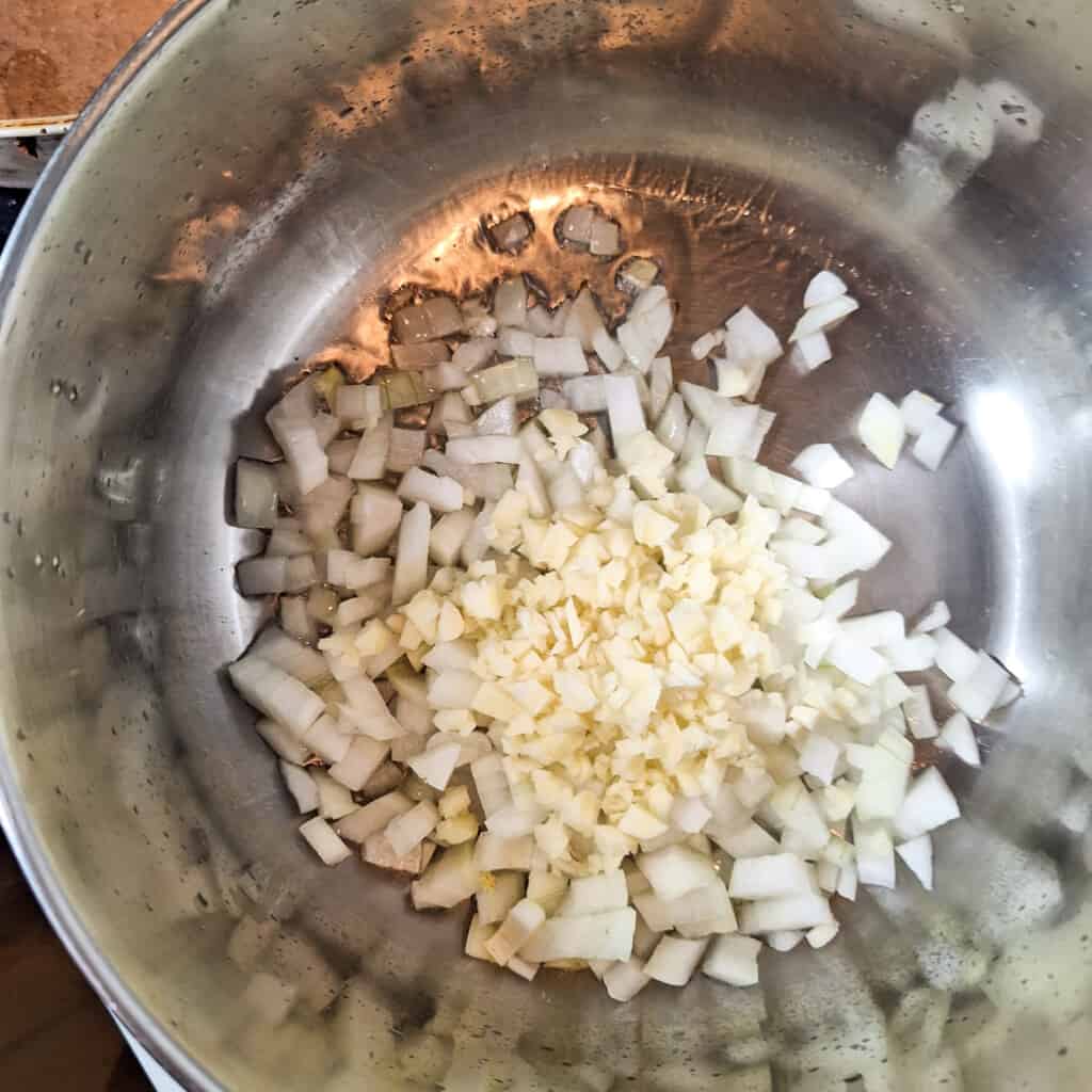 Onions and garlic in frying in a pot