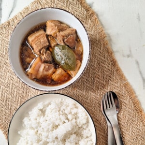 Plate of rice next to a bowl of pork and chicken adobo on a brown placemat.