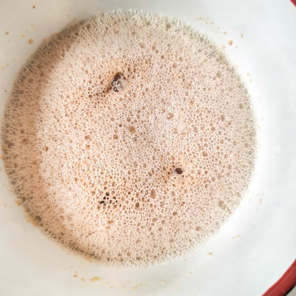 Frothy and bloomed yeast in a white bowl